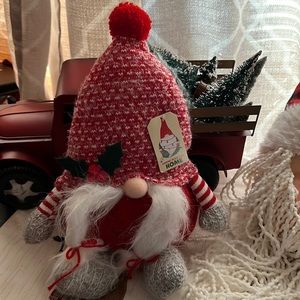 Christmas Gnome